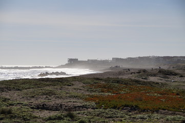 playa, paisaje en pichilemu, Chile