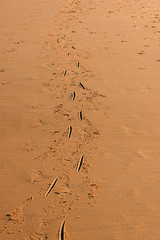 Detailed closeup of a real macro ocean texture