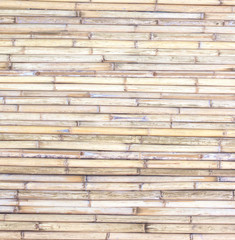 Old bamboo fence background; Old natural bamboo fence texture background