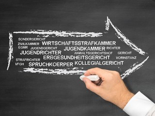 Strafvollstreckungskammer