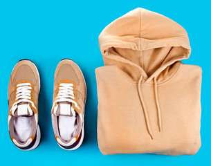 Sneakers with hoodie on a blue background.