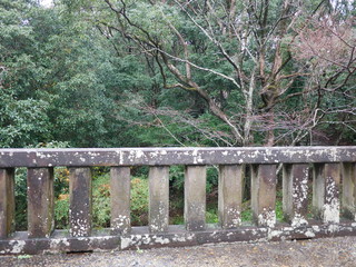 石橋から見る森

