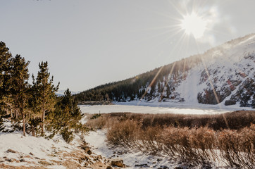 winter landscape in the mountains and trees with sun flare