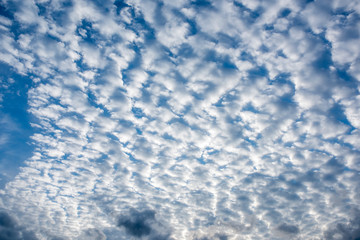 Obraz premium Cirrocumulus clouds