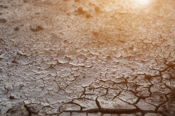 Dry soil cracked Rift due to global warming. with blur focus 