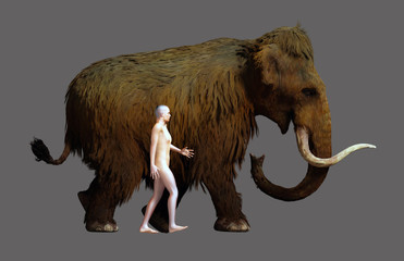 Woolly Mammoth And Human Size Comparison