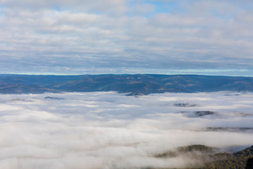 Fototapeta na wymiar Low level clouds in the Jamison Valley near Katoomba in The Blue Mountains in Australia
