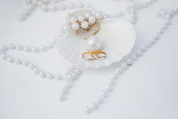 Wedding rings close up decorated nautical with accessories for tropical caribbean outdoor wedding ceremony on the sandy beach in Dominican republic, Punta Cana