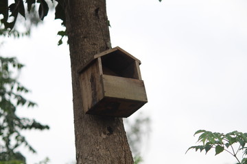 bird house on tree