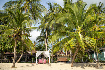 The sandy shores of the azure sea. Waves and palm tree with swing.