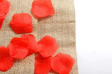 Group of red petals for abstract background / wallpaper