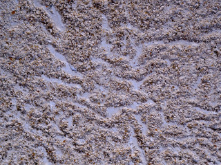 Old cement wall abstract background.