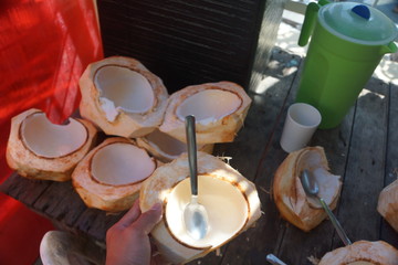 coconut meat