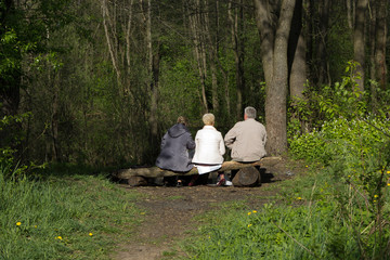 People, friends two women and man in close company spend time on a self-isolation picnic in a forest park