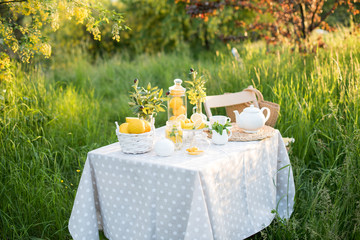 Tea concept, light cup with tea and white teapot decorated with lemons and oliva blooming yellow spring in the garden, top view. Teatime - Relax With Hot Tea In Zen Garden