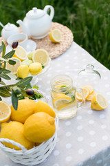 Lemonade with lemon, mint and ice on garden table. Preparation of the lemonade drink. Lemonade in the jug and lemons with mint on the table outdoor.
