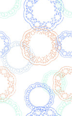 Elagance mix object pattern with color backgound