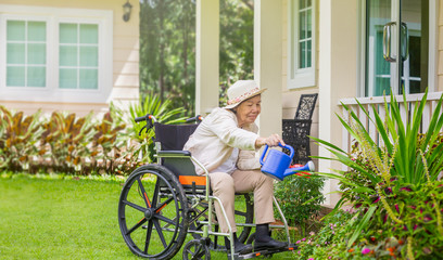 Naklejka na ściany i meble Elderly woman relax with gardening in backyard