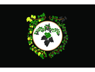 Vintage frame of black and white grapes