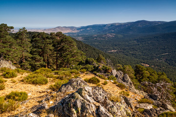 Fototapeta na wymiar Sierra de Guadarrama National Park. View of the mountains in Valsain, Segovia. Spain