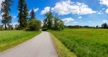 Beautiful Panoramic View of Trail in Nature with Green Trees during a sunny spring day. Taken in Tynehead Park, Surrey, Greater Vancouver, British Columbia, Canada.