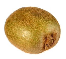 Kiwi fruit isolated on a white background. Clipping path.