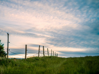Fototapeta premium sunset over the field