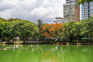 Fototapeta premium Bautiful view of lake and modern buildings in Lumpini Park, Bangkok, Thailand
