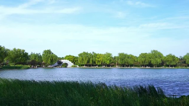 Charming lakescape in the park, green trees, stone bridge, and swaying grass 