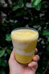 mango juice or mango smoothies with milk