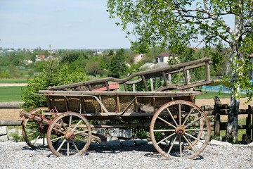 Fototapeta na wymiar An old wooden wagon stands by the road in the countryside. There is a wooden ladder in it. Polish countryside, Cracow-Czestochowa Upland, Poland.
