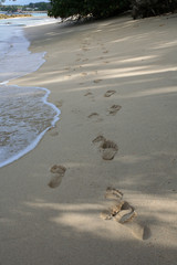 footprints on the beach