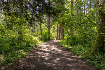 More through the trees again, sort of