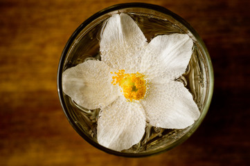 A flower with five white petals and yellow stamens immersed in water.