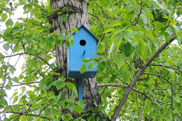   blue birdhouse on a tree 