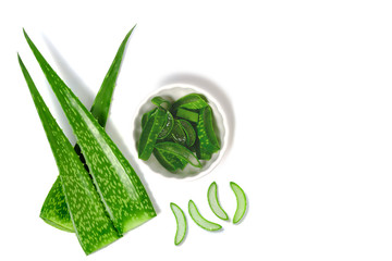 Aloe vera medicine plant, green cut pieces and leaves slices