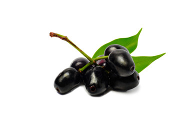Jambolan plum or Java plum isolated on white background