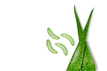 Flatlay of Aloe vera cutting leaves with sliced and water drops
