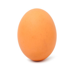 Single brown chicken egg isolated on white background with clipping path.