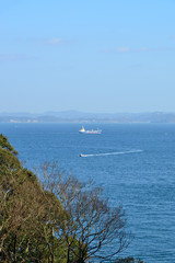 観音崎　横須賀市鴨居の風景