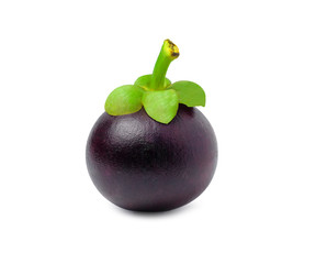 Fresh mangosteen isolated on white background as package design element