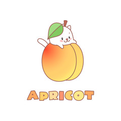 Apricot. Kawaii illustration of a little white kitten sitting in a apricot. Vector 8 EPS.