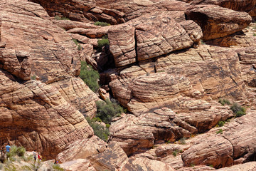 Nevada Desert Red Rocks in the desert