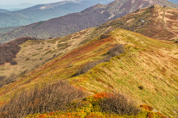 Amazing colours of the mountain meadows in the early spring. Bieszczady National Park. Carpathians. Poland.