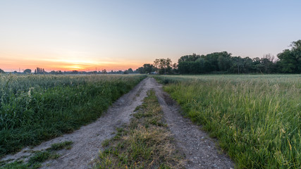 sunrise in the field in Reichstett