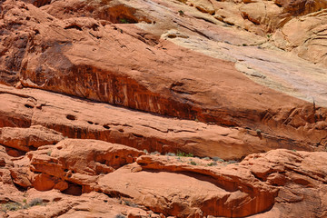 Red Aztec Sandstone cliffs with plants sprouting on them in the Nevada Desert