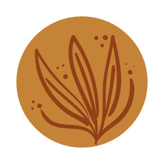 branch with leafs boho hand draw style