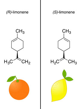 Illustration of limonene, a chiral molecule in orange and lemon.