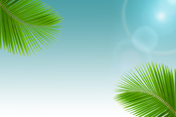 Fototapeta na wymiar Green palm leaf on blue background