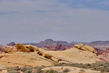 Water and weather erosion create patterns in the foreground rocks with the Red Aztec Sandstone in the background